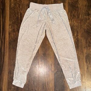 Womens Silver Velvet Joggers